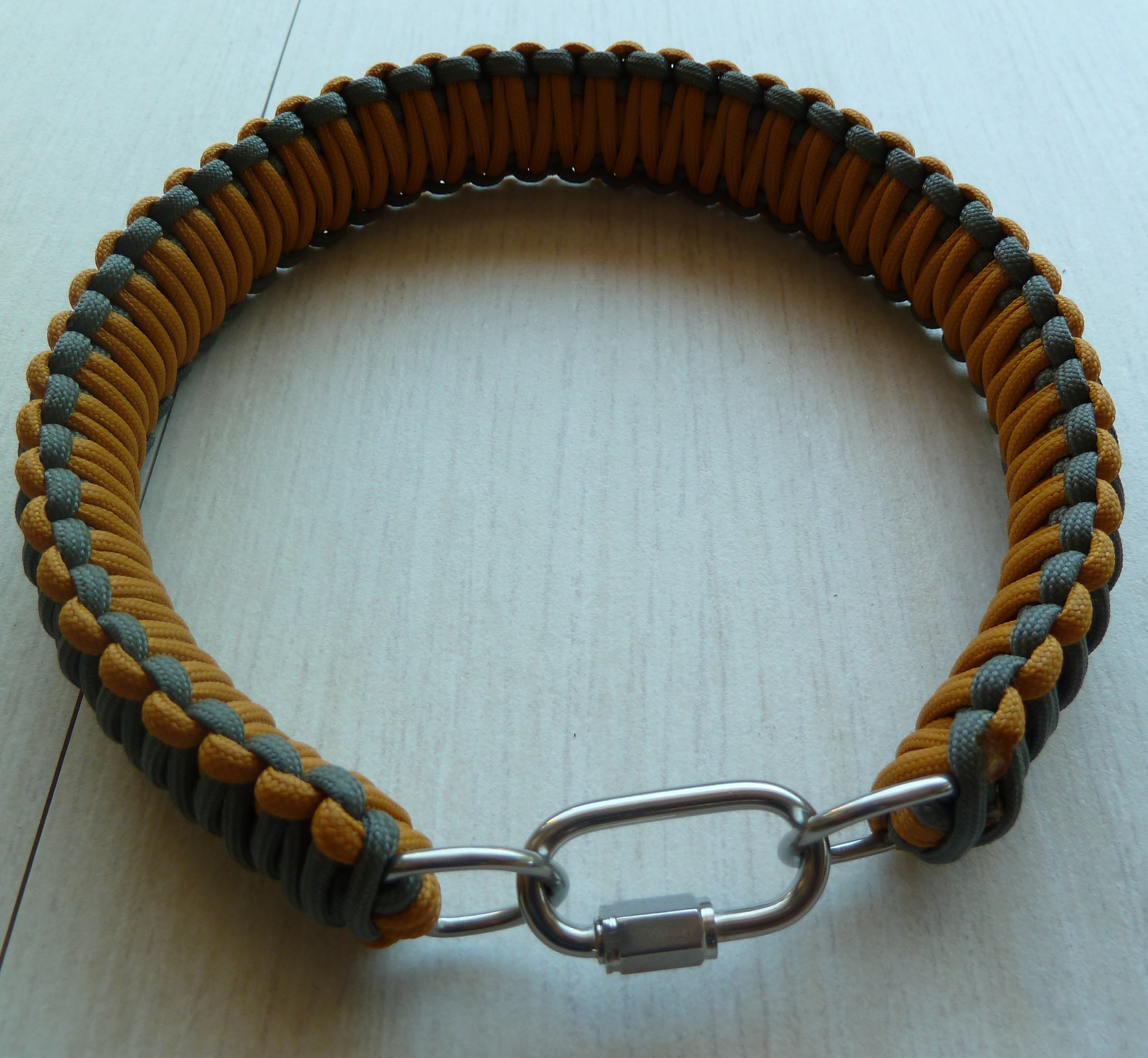 Anneau soudé en D en inox sur collier de chien