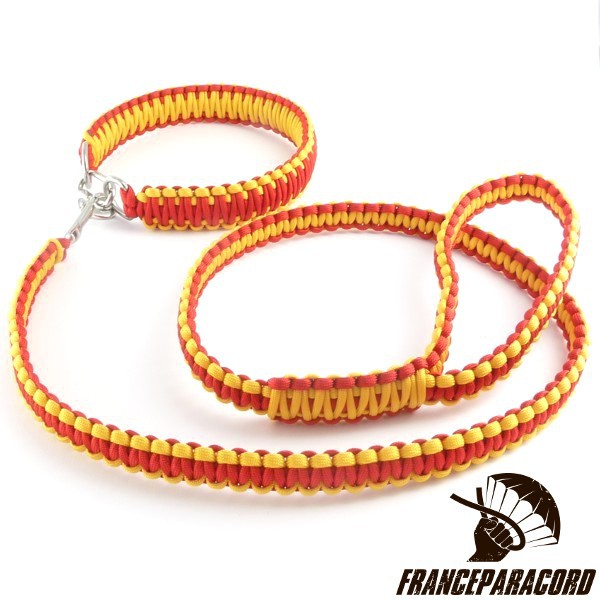 Laisse de chien Cobra