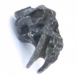 Sabretooth Skull Bead Black Oxidized
