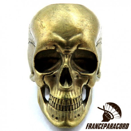 Anatomical Skull Solid Bronze